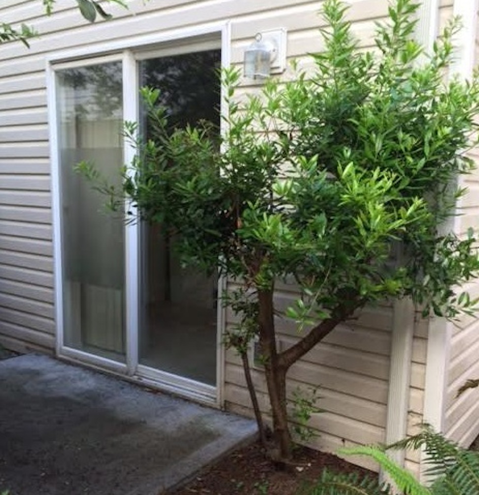 Greenlake Townhome