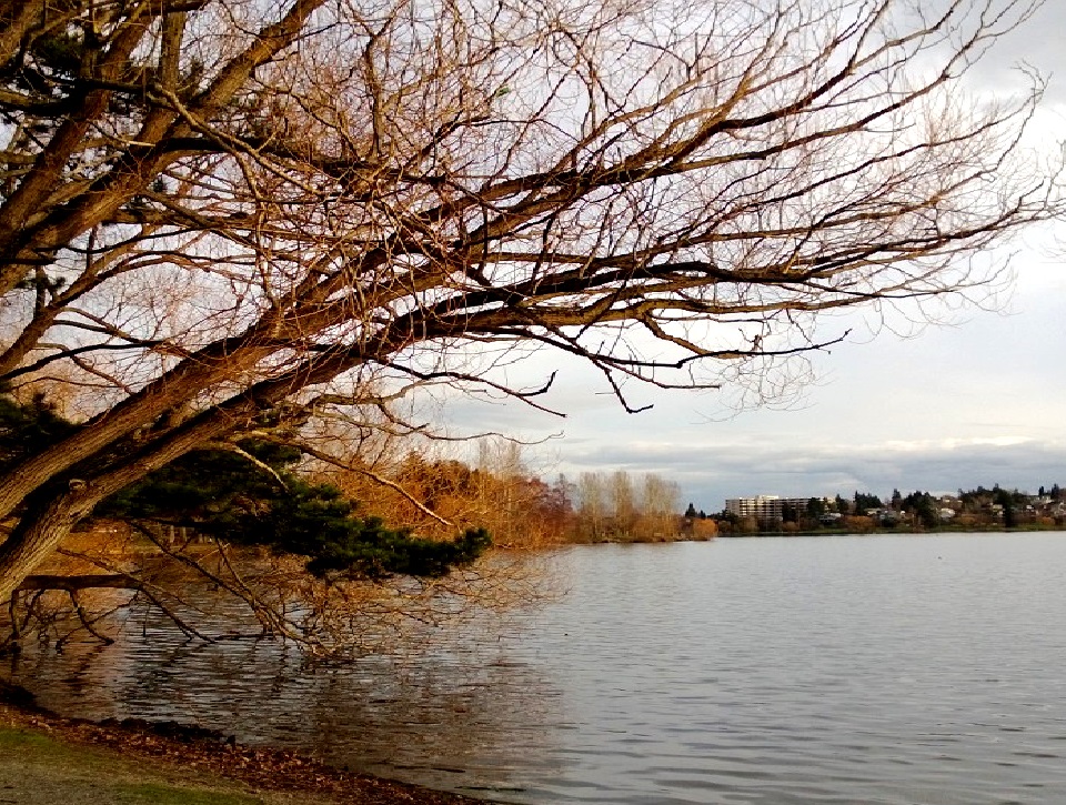 Greenlake Townhome