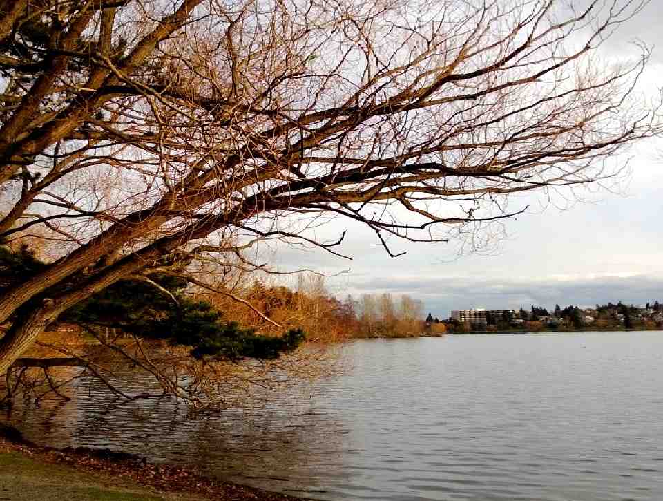 Greenlake Townhome